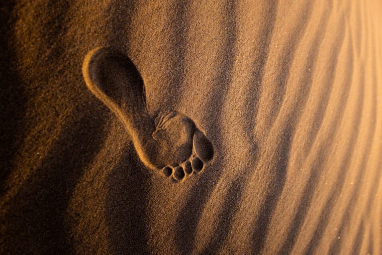 Mikä on digital footprint? – Jalanjälkesi verkossa